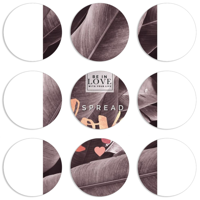 Магнитные фотопазлы круги d55 набор 9 штук 