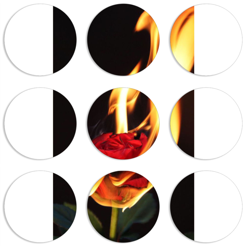 Магнитные фотопазлы круги d55 набор 9 штук 
