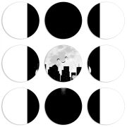 Магнитные фотопазлы круги d55 набор 9 штук 