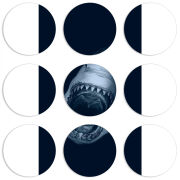 Магнитные фотопазлы круги d55 набор 9 штук 