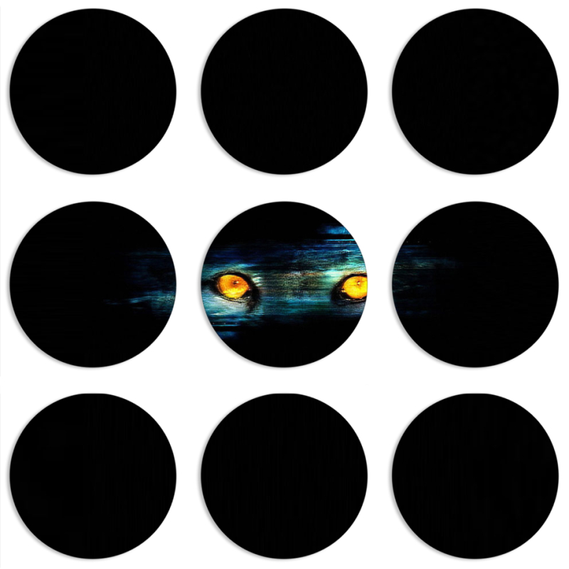 Магнитные фотопазлы круги d55 набор 9 штук Eyes in the Dark