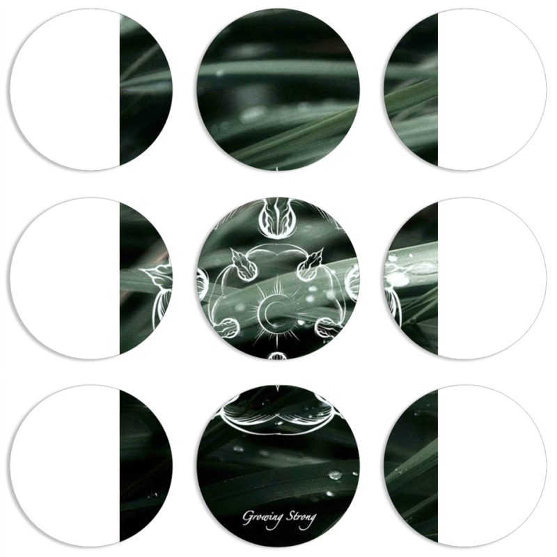 Магнитные фотопазлы круги d55 набор 9 штук 