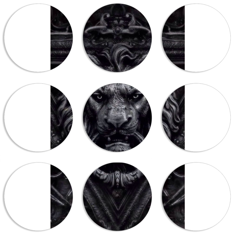 Магнитные фотопазлы круги d55 набор 9 штук 