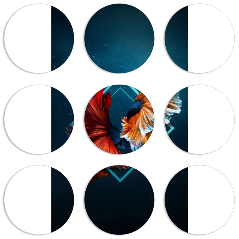 Магнитные фотопазлы круги d55 набор 9 штук 