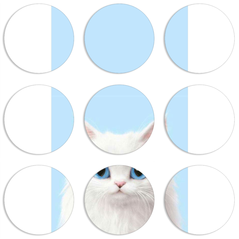 Магнитные фотопазлы круги d55 набор 9 штук 