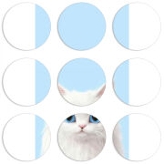 Магнитные фотопазлы круги d55 набор 9 штук 