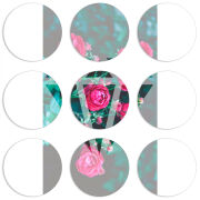 Магнитные фотопазлы круги d55 набор 9 штук 