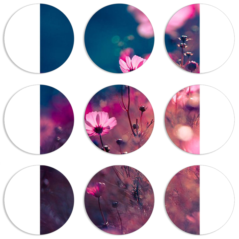 Магнитные фотопазлы круги d55 набор 9 штук 