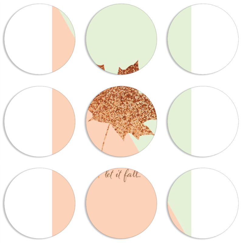 Магнитные фотопазлы круги d55 набор 9 штук 