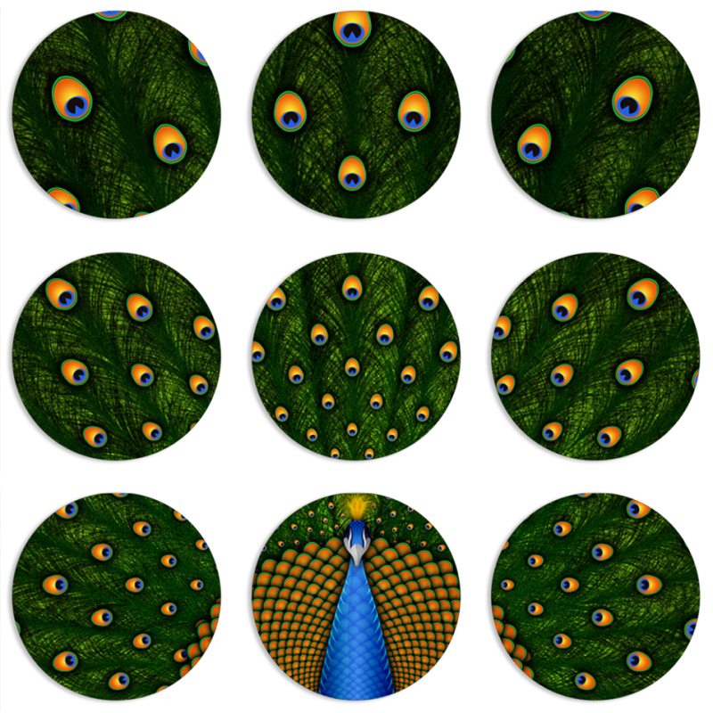 Магнитные фотопазлы круги d55 набор 9 штук Peacocks Tail