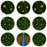 Магнитные фотопазлы круги d55 набор 9 штук Peacocks Tail