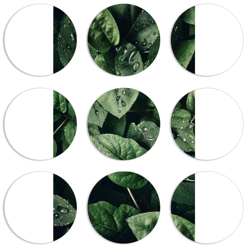 Магнитные фотопазлы круги d55 набор 9 штук 