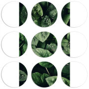 Магнитные фотопазлы круги d55 набор 9 штук 