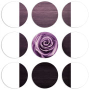 Магнитные фотопазлы круги d55 набор 9 штук 