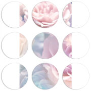 Магнитные фотопазлы круги d55 набор 9 штук 