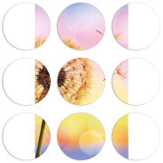 Магнитные фотопазлы круги d55 набор 9 штук 