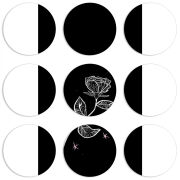 Магнитные фотопазлы круги d55 набор 9 штук 