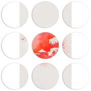 Магнитные фотопазлы круги d55 набор 9 штук 