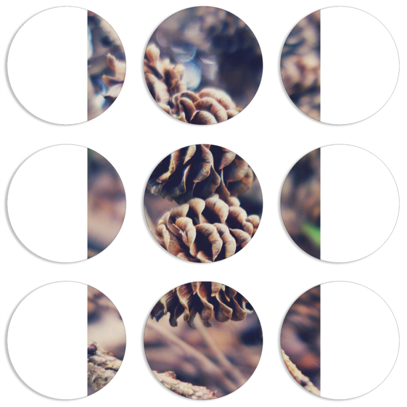 Магнитные фотопазлы круги d55 набор 9 штук 
