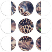 Магнитные фотопазлы круги d55 набор 9 штук 