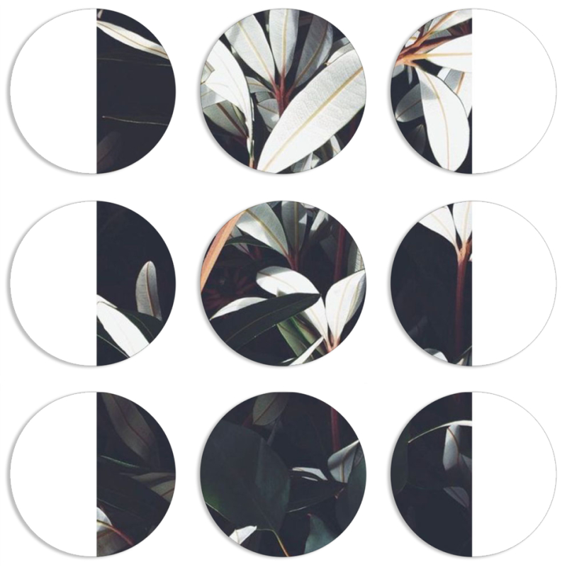 Магнитные фотопазлы круги d55 набор 9 штук 