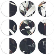 Магнитные фотопазлы круги d55 набор 9 штук 