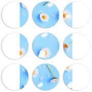 Магнитные фотопазлы круги d55 набор 9 штук 