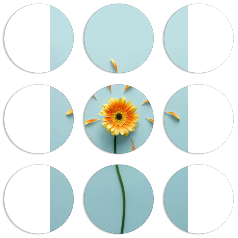 Магнитные фотопазлы круги d55 набор 9 штук 