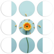 Магнитные фотопазлы круги d55 набор 9 штук 