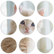Магнитные фотопазлы круги d55 набор 9 штук Animation Kittens