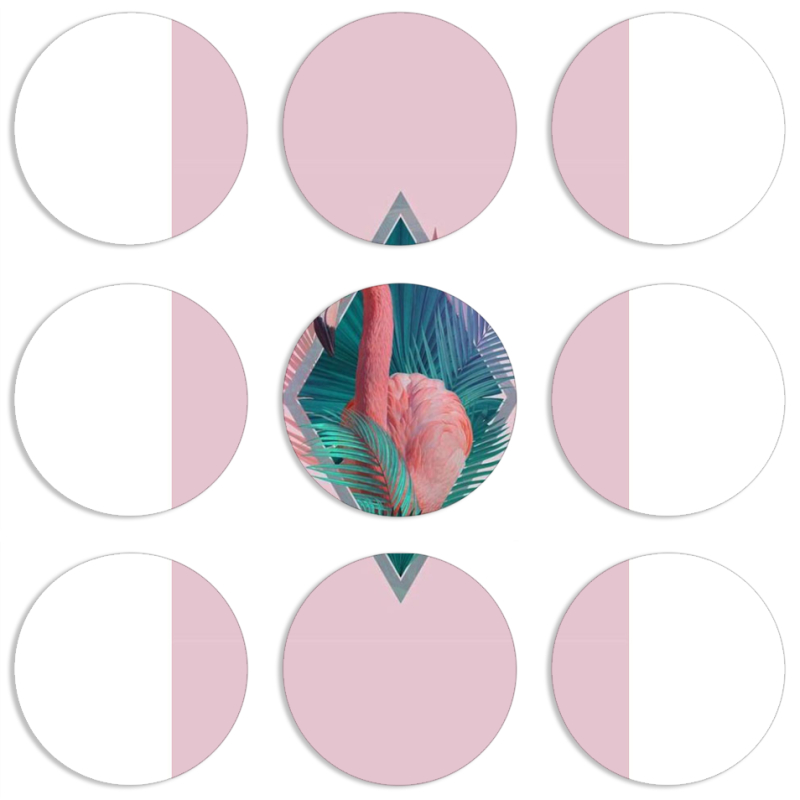 Магнитные фотопазлы круги d55 набор 9 штук 