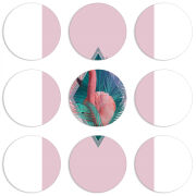 Магнитные фотопазлы круги d55 набор 9 штук 