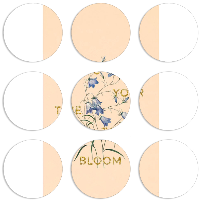 Магнитные фотопазлы круги d55 набор 9 штук 