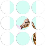 Магнитные фотопазлы круги d55 набор 9 штук 