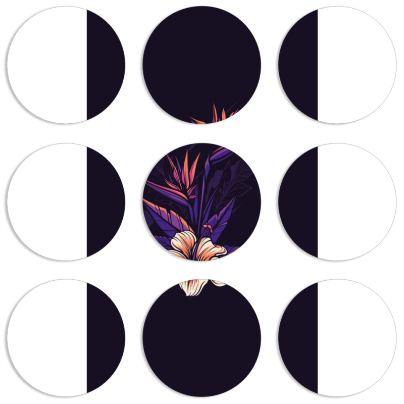 Магнитные фотопазлы круги d55 набор 9 штук 