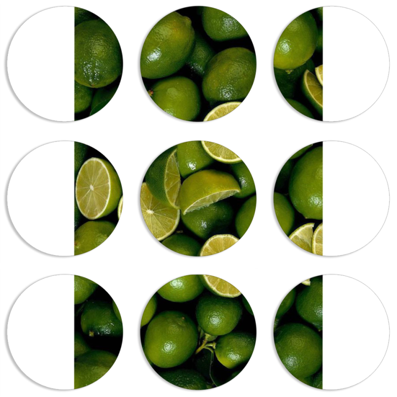 Магнитные фотопазлы круги d55 набор 9 штук 