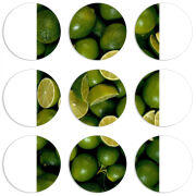 Магнитные фотопазлы круги d55 набор 9 штук 