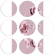 Магнитные фотопазлы круги d55 набор 9 штук 