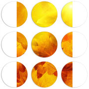 Магнитные фотопазлы круги d55 набор 9 штук 