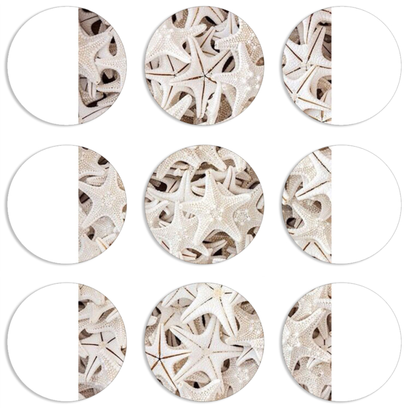 Магнитные фотопазлы круги d55 набор 9 штук 