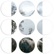 Магнитные фотопазлы круги d55 набор 9 штук 
