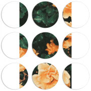 Магнитные фотопазлы круги d55 набор 9 штук 