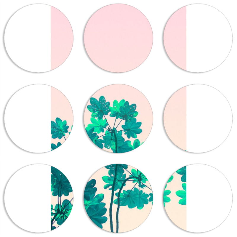 Магнитные фотопазлы круги d55 набор 9 штук 