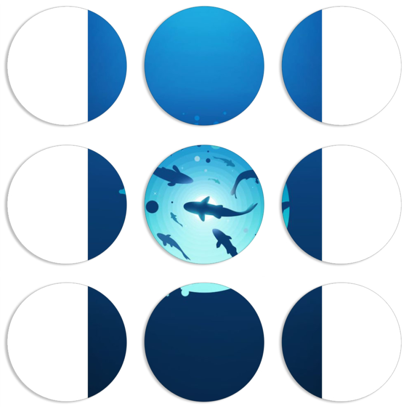 Магнитные фотопазлы круги d55 набор 9 штук 