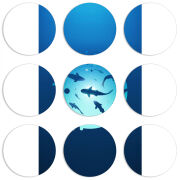 Магнитные фотопазлы круги d55 набор 9 штук 