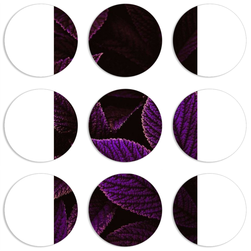 Магнитные фотопазлы круги d55 набор 9 штук 