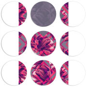 Магнитные фотопазлы круги d55 набор 9 штук 