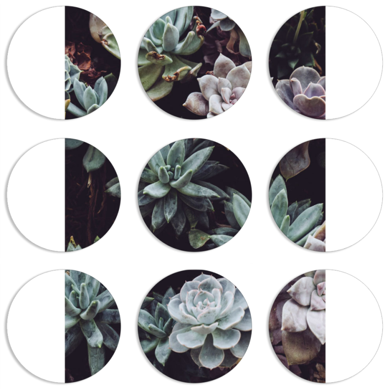 Магнитные фотопазлы круги d55 набор 9 штук 