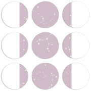 Магнитные фотопазлы круги d55 набор 9 штук 
