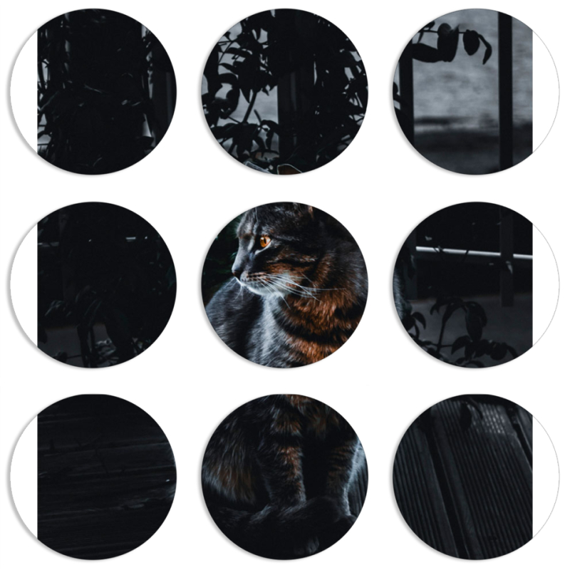 Магнитные фотопазлы круги d55 набор 9 штук 